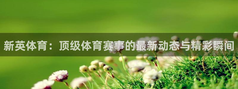 玩球app直播：新英体育：顶级体育赛事的最新动态与精彩瞬间