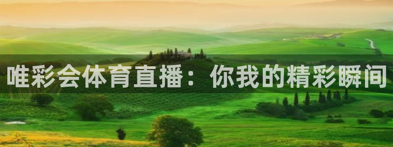 玩球直播wqzb：唯彩会体育直播：你我的精彩瞬间