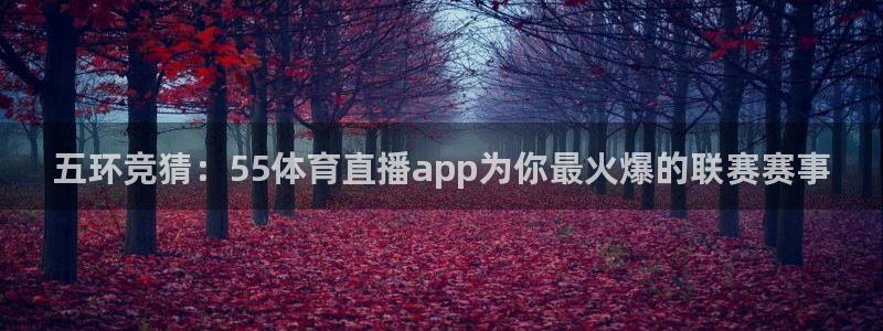 玩球nba直播：五环竞猜：55体育直播app为你最火爆的联赛赛事