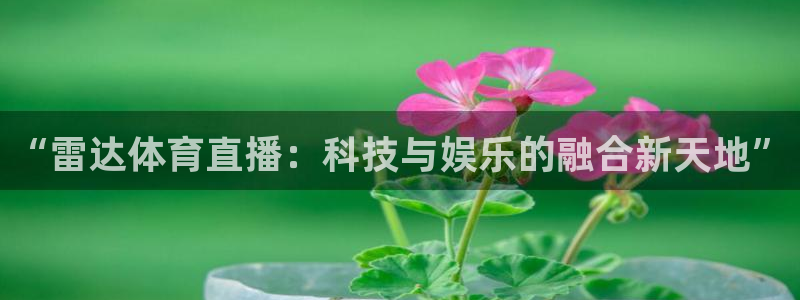 玩球直播ios版：“雷达体育直播：科技与娱乐的融合新天地”