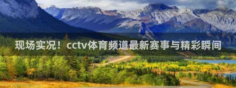 nba玩球直播：现场实况！cctv体育频道最新赛事与精彩瞬间