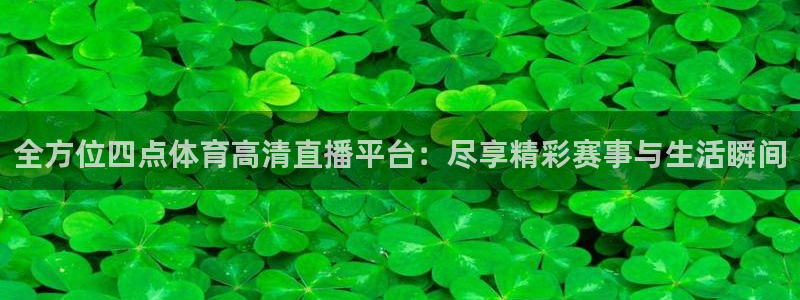 玩球直播：全方位四点体育高清直播平台：尽享精彩赛事与生活瞬间