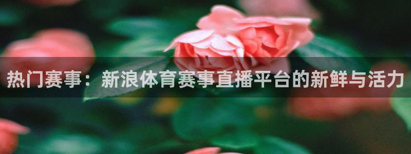 玩球直播网站：热门赛事：新浪体育赛事直播平台的新鲜与活力