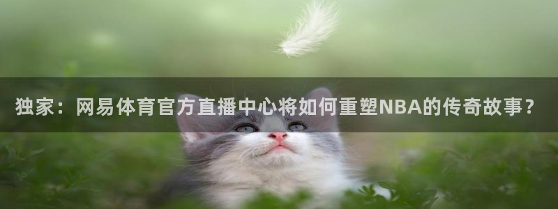 玩球直播app免费下载：独家：网易体育官方直播中心将如何重塑NBA的传奇故事？