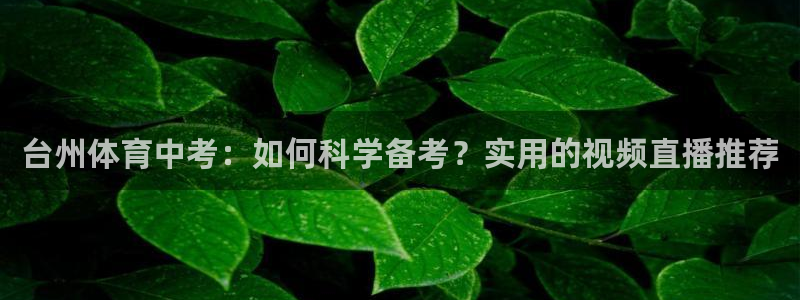 玩球直播nba在线观看免费：台州体育中考：如何科学备考？实用的视频直播推荐