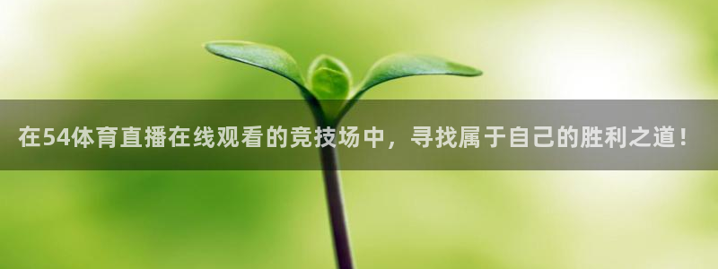 360玩球直播：在54体育直播在线观看的竞技场中，寻找属于自己的胜利之道！