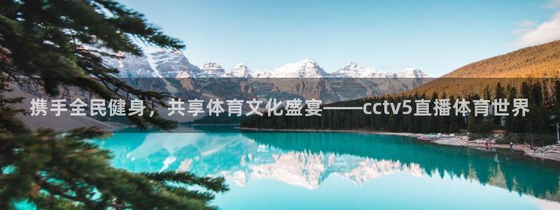 玩球直播官网入口：携手全民健身，共享体育文化盛宴——cctv5直播体育世界