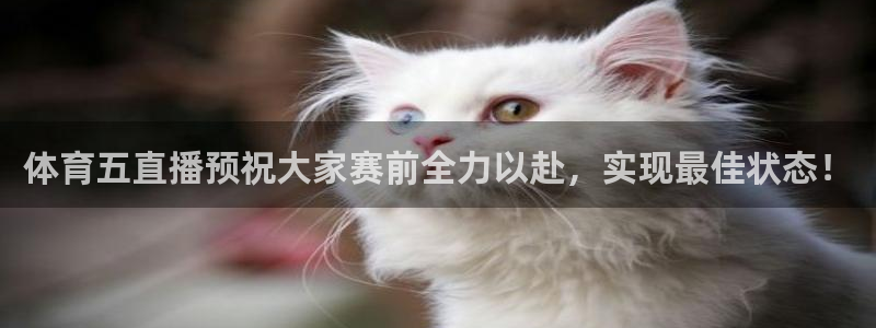 玩球直播app官网：体育五直播预祝大家赛前全力以赴，实现最佳状态！