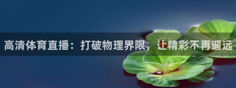 小班体育游戏玩球：高清体育直播：打破物理界限，让精彩不再遥远