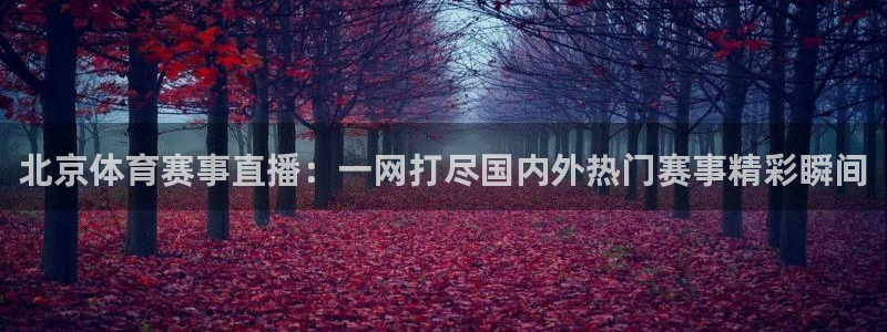 小班体育游戏玩球：北京体育赛事直播：一网打尽国内外热门赛事精彩瞬间