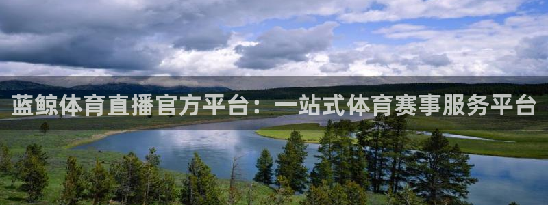 玩球体育直播app：蓝鲸体育直播官方平台：一站式体育赛事服务平台