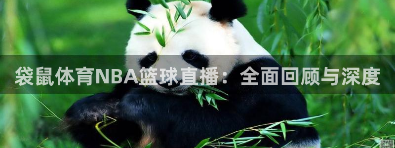 玩球直播：袋鼠体育NBA篮球直播：全面回顾与深度