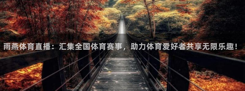 玩球吧直播：雨燕体育直播：汇集全国体育赛事，助力体育爱好者共享无限乐趣！